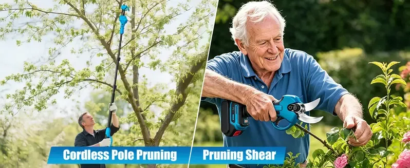 Cordless Pole Saw & Mini Chainsaw Garden Tool Set with Extension Pole for Tree Trimming