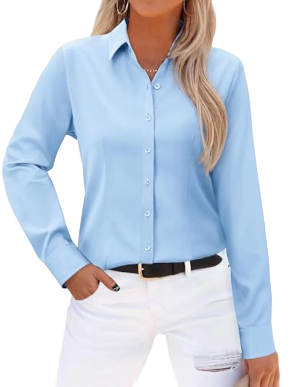 Wrinkle-Free Long Sleeve Blouse