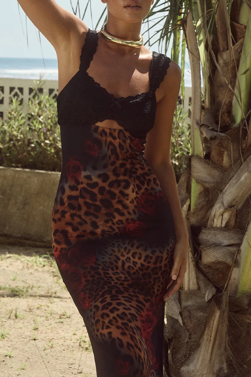 Sexy Sheer Dress