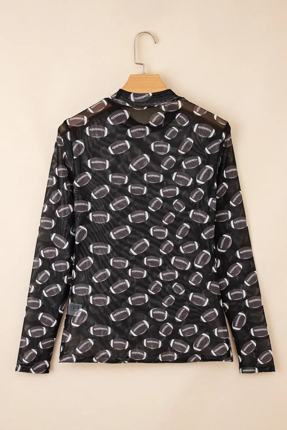 Mesh Sheer Long Sleeve Top