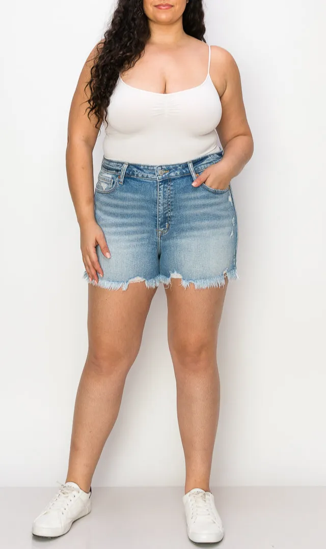 High Rise Distressed Frayed Hem Denim Shorts