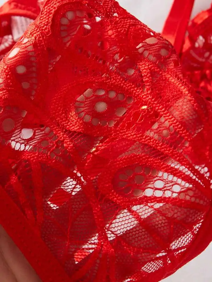 Refined Lace Sheer Bra And Panty Set