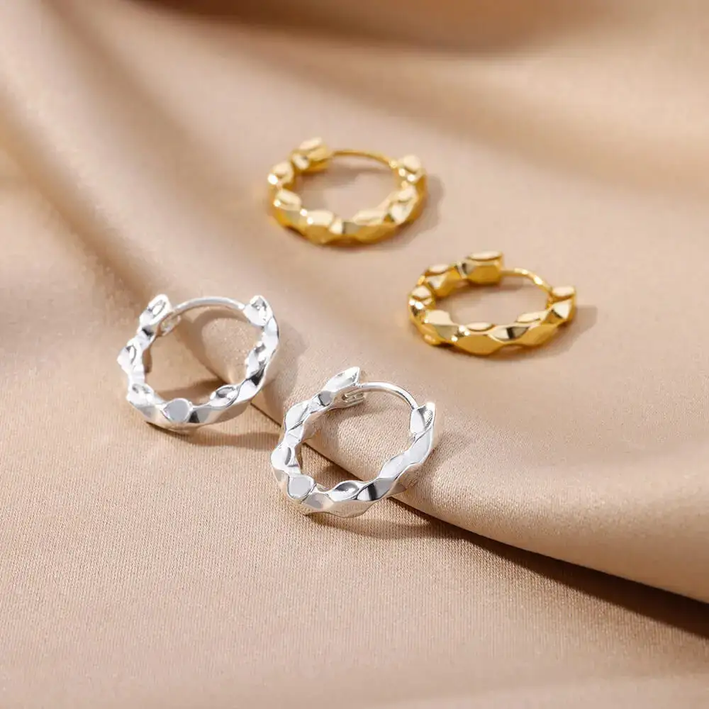 Stainless Steel Hoop Hoop Earrings