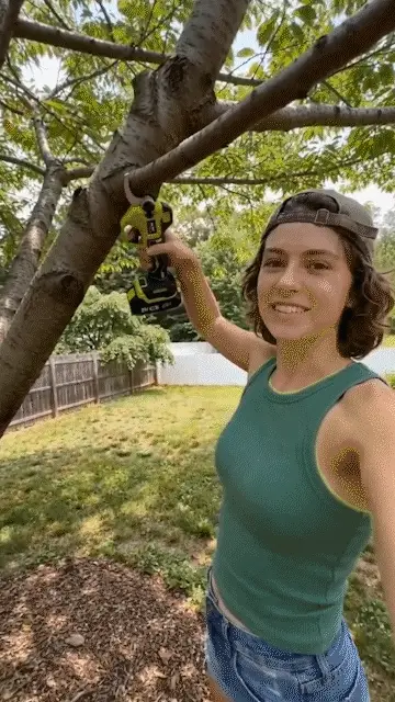 Cordless Electric Pruning Shears