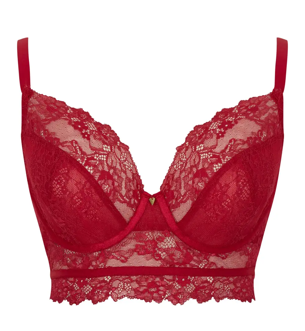 Longline Plunge Underwire Bra