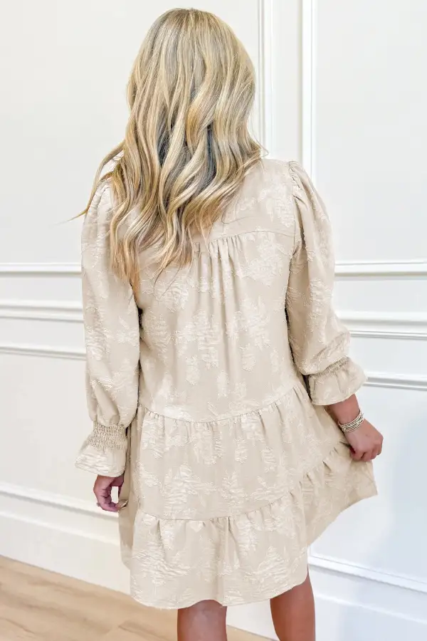 Split Neck Tiered Long Sleeve Mini Dress