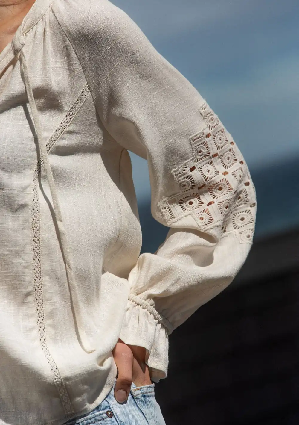 Embroidered Ruffle Sleeve Blouse