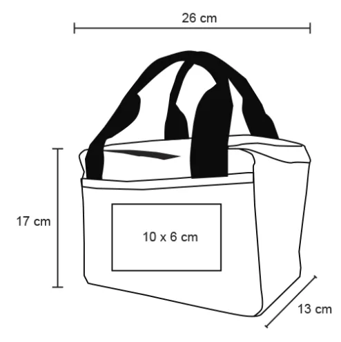 Compact Insulated Cooler Bag