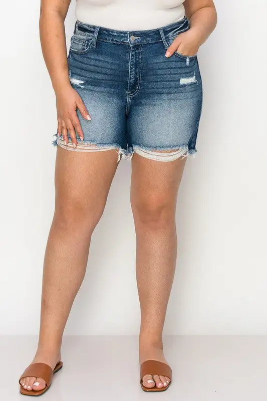 Weekend High Rise Frayed Hem Stretch Denim Shorts