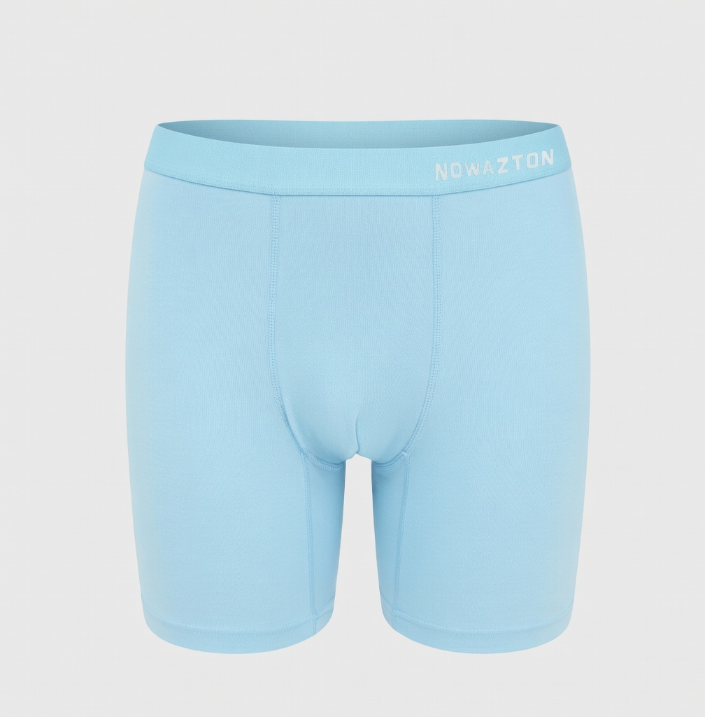 High-end Antibacterial Maintenance Pants for Men – New Ice Silk Boxer Briefs/Boxers – Thin Summer Shorts for Men