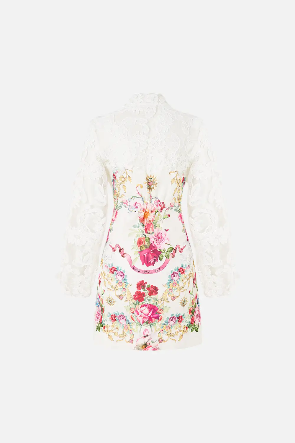 Lace Sleeve Mini Dress