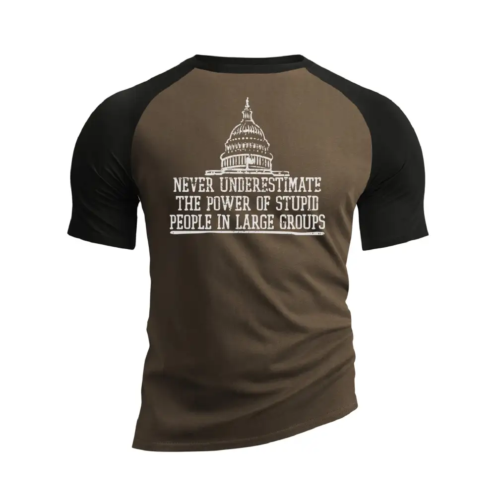 THE POWER OF STUPID PEOPLE RAGLAN GRAPHIC TEE