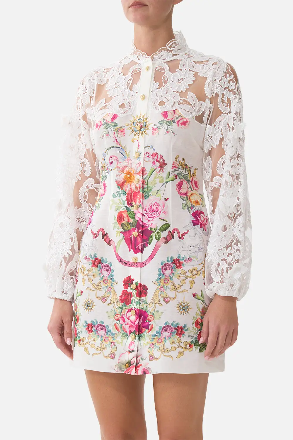 Lace Sleeve Mini Dress