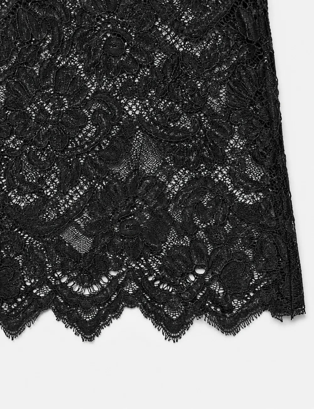Dog Graphic Round Neck Lace Crop Top