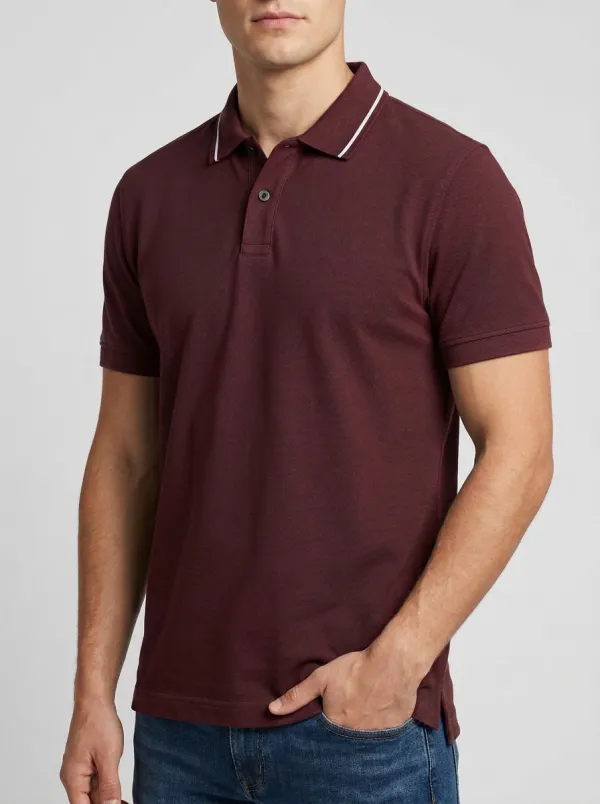 Women's Refined Tipped-Collar Collared Polo Shirt