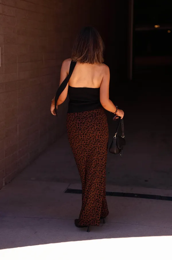 Sheer Lace Mesh Skirt