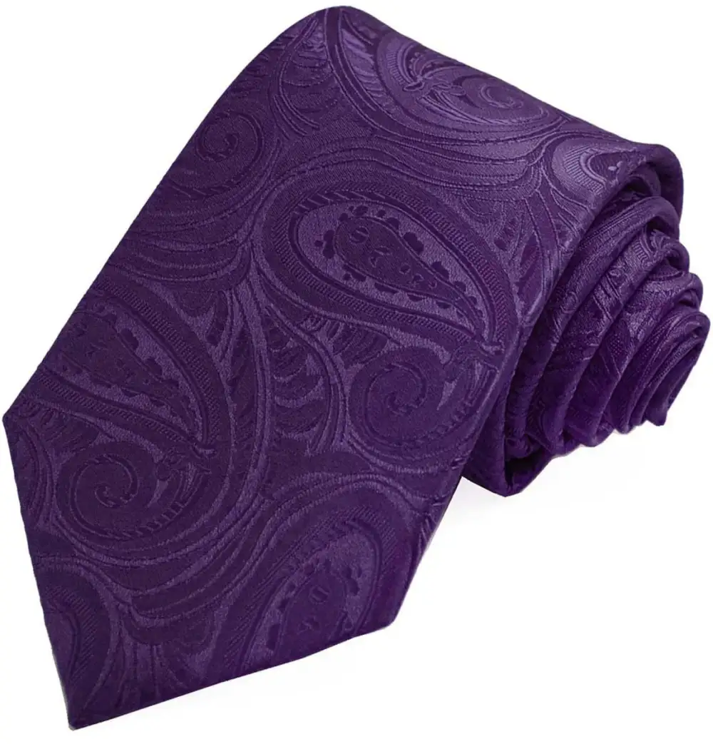 Elegant Essential Paisley Men's Necktie