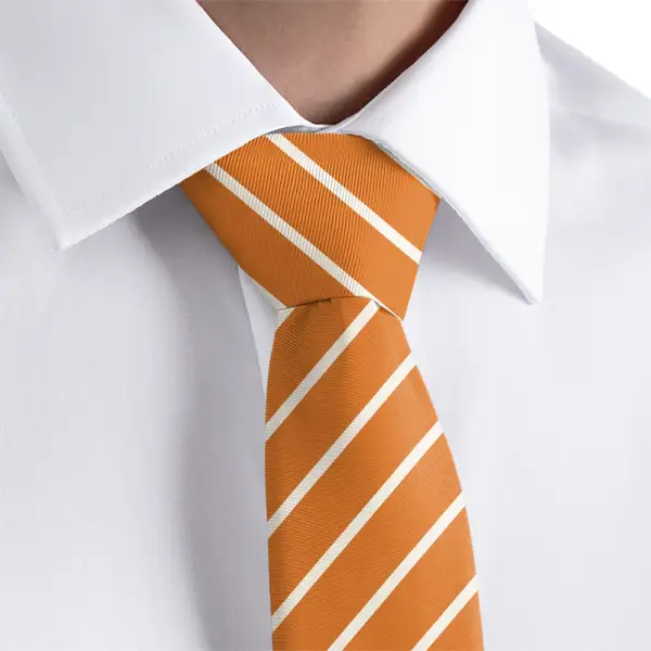 Refined Stripe Theme Necktie