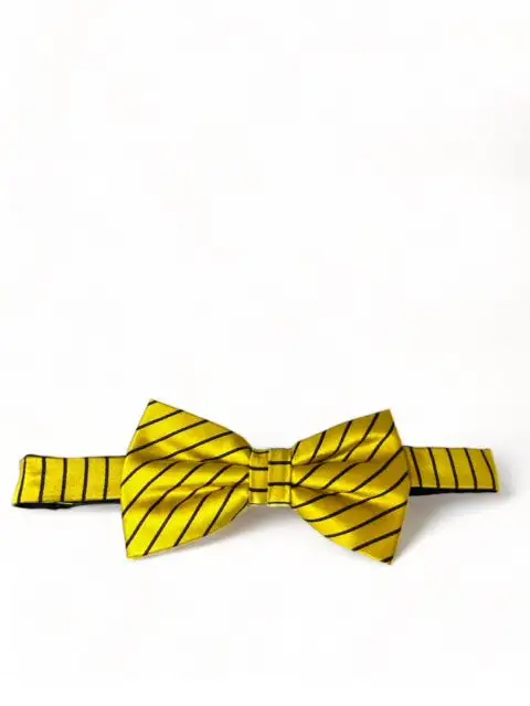 Tailored Striped Silk Bow Tie