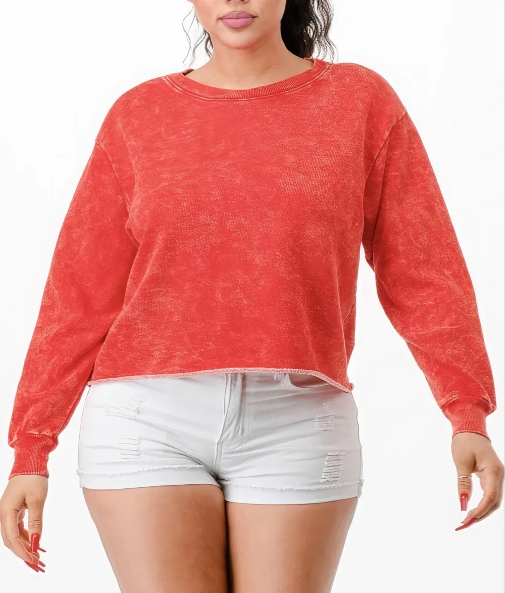 Washed Terry Cropped Sweatshirt