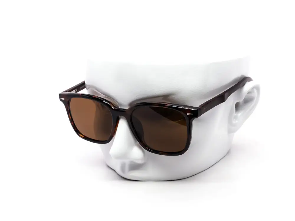 12-Pack Tortoise Classic Wayfarer-Style Wood Accent Sunglasses