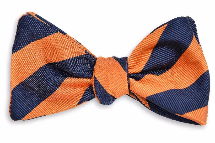 Elegant Seasonal Striped Bow Tie
