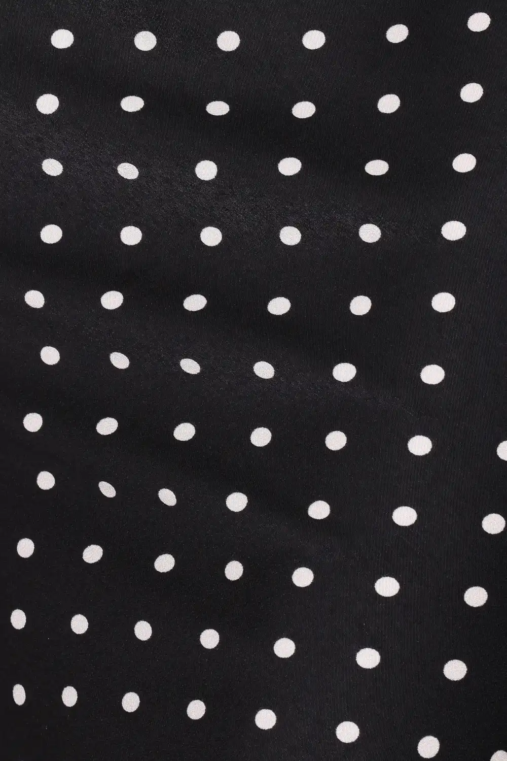 Sheer Lace Polka Dot Skirt