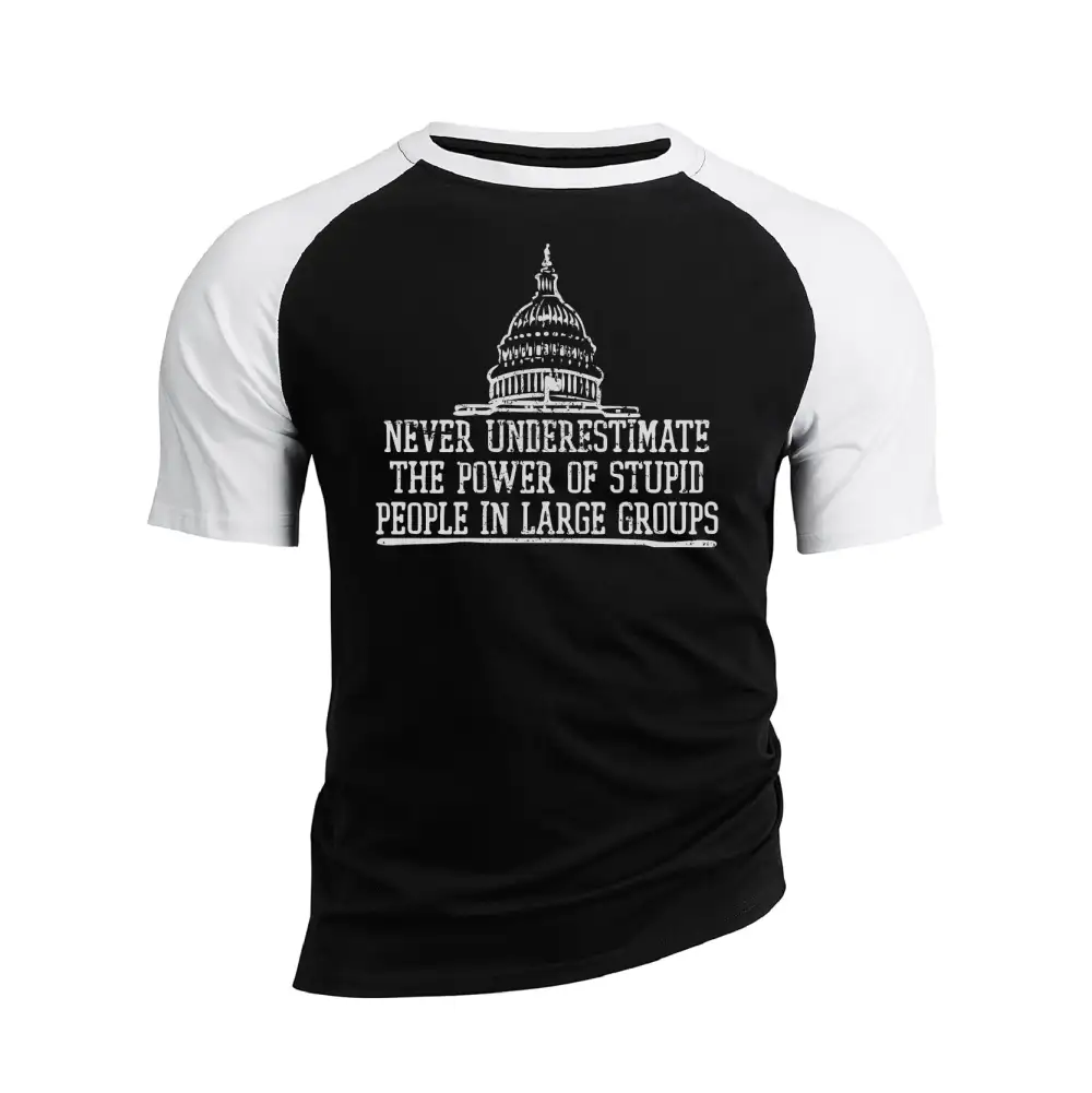 THE POWER OF STUPID PEOPLE RAGLAN GRAPHIC TEE