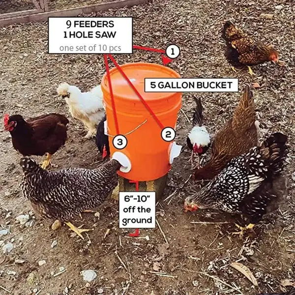 (🔥2026 Spring Hot Sale) DIY Chicken Feeder
