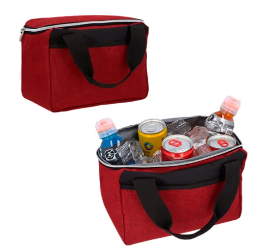 Compact Insulated Cooler Bag