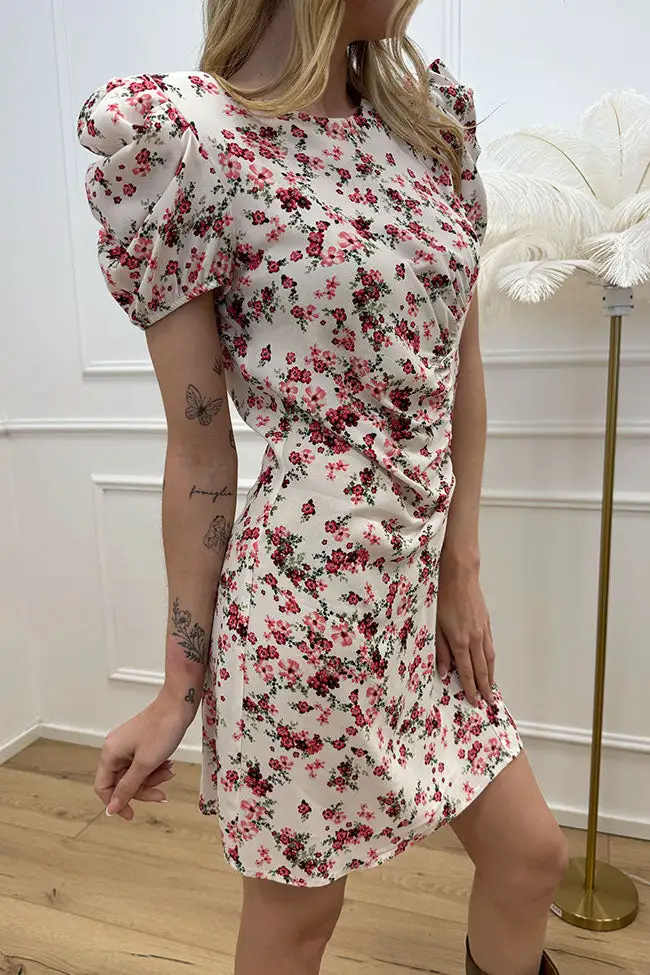 Palisade Mini Ruched Dress