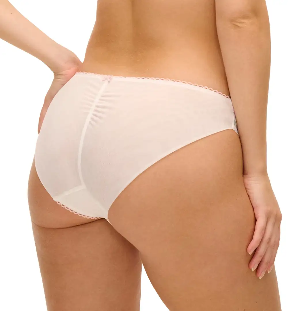 Classic Low-Rise Mesh Floral Full-Coverage Brief Panty