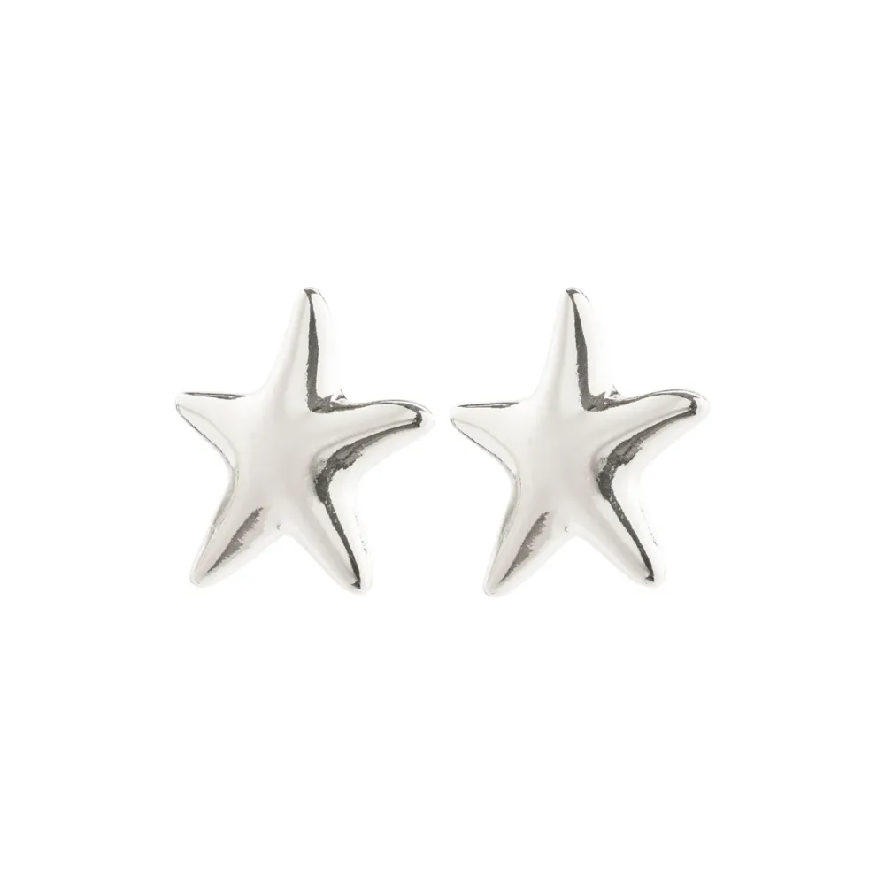 Large Studs Star Earrings