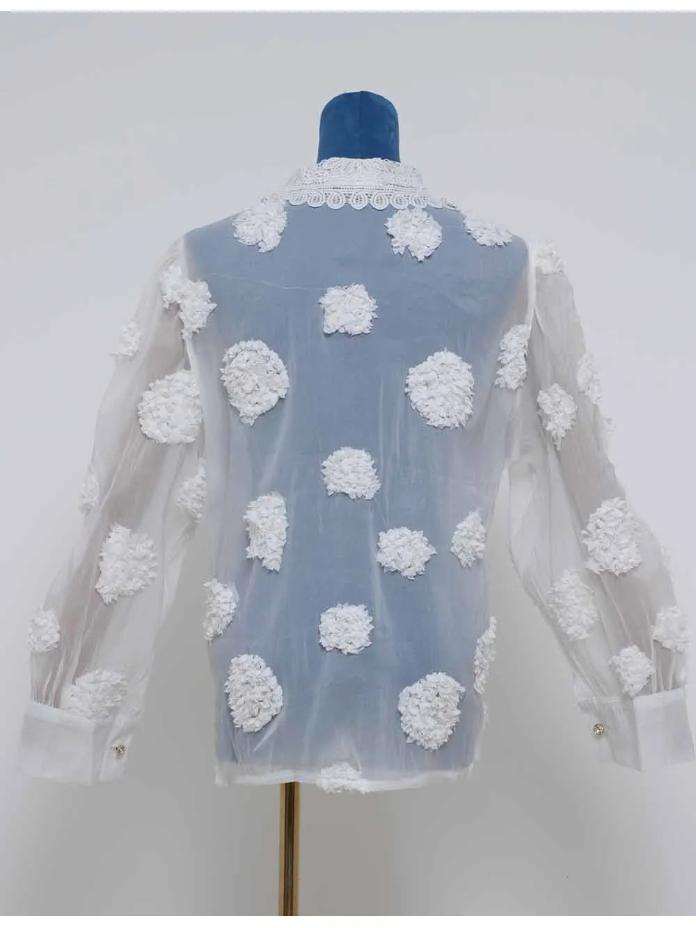 Chic Jacquard Lantern Sleeves Sheer Blouse