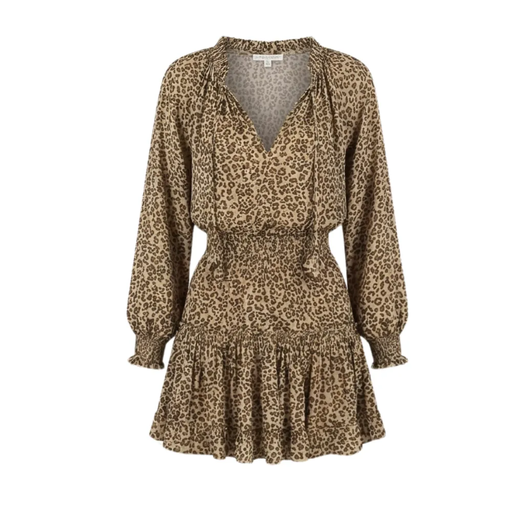 Ruffle V Neck Floral Mini Dress