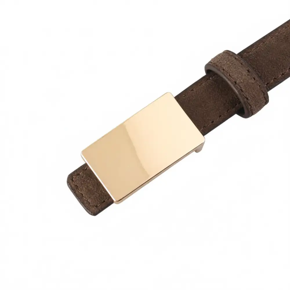Modern Everyday Buckle Belt