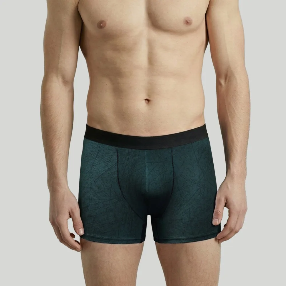 Modern Printed Briefs