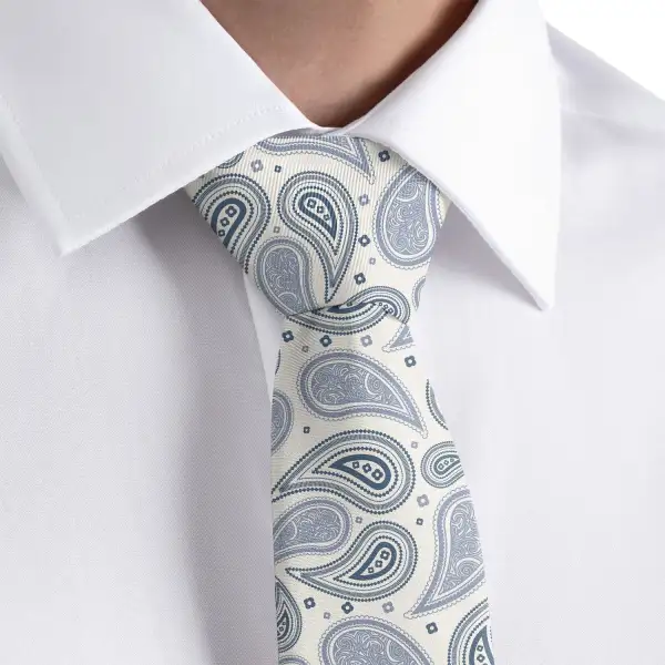 Polished Paisley Pattern Necktie