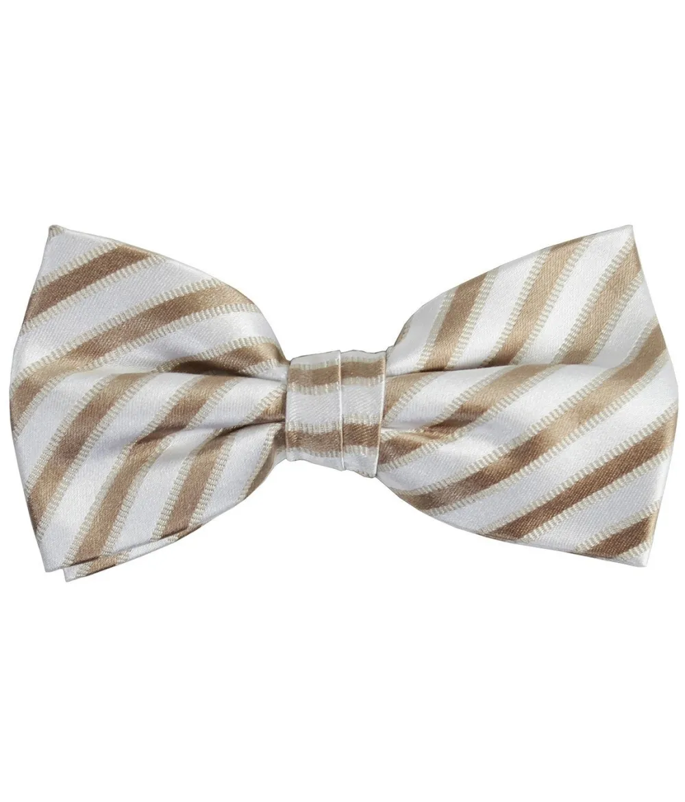 Sharp Striped Silk Bow Tie