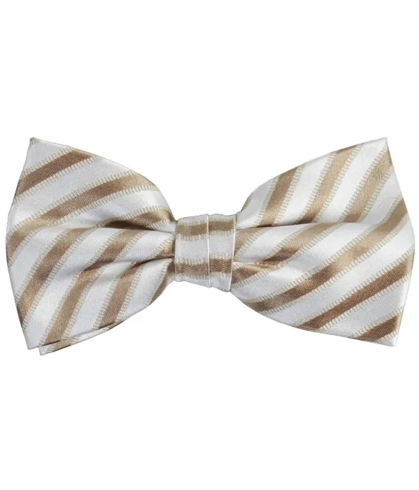 Sharp Striped Silk Bow Tie