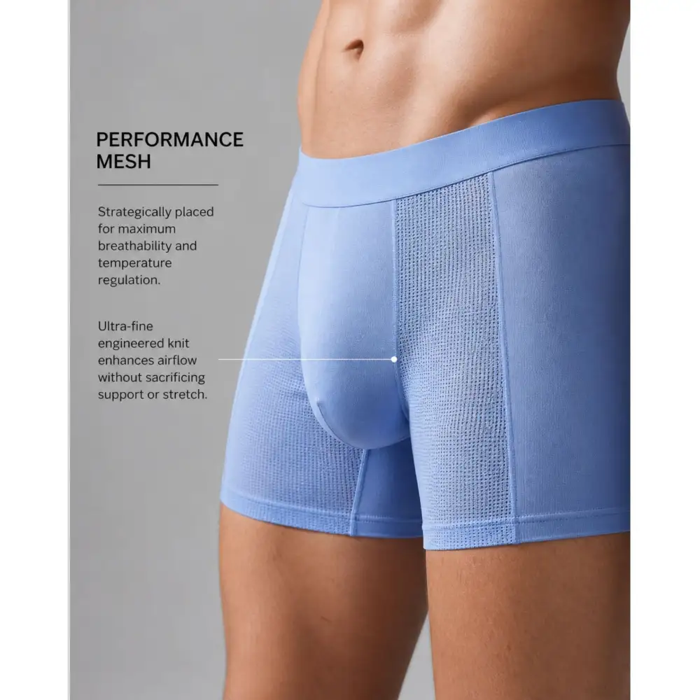 Mesh Mens Boxer Briefs
