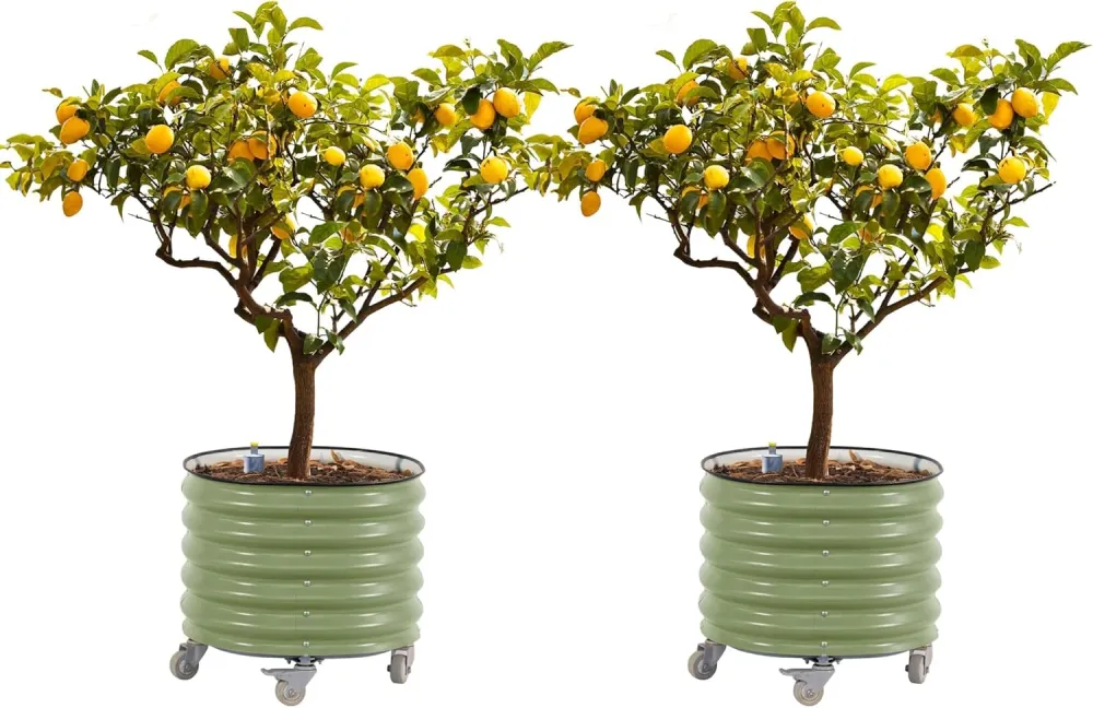 Large Rolling Metal Tree Planter, Self-Watering Vegetable Pot