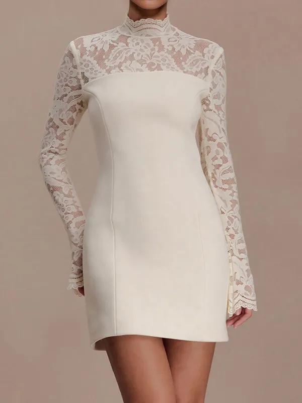 Sheer Lace High Neck Elegant Mini Dress