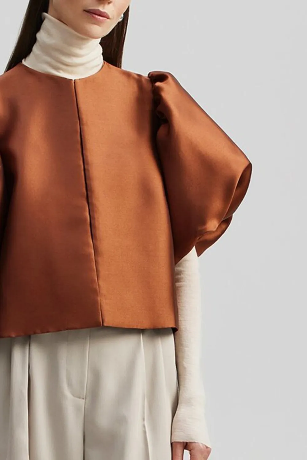 Puff Sleeve Scarf Neck Blouse