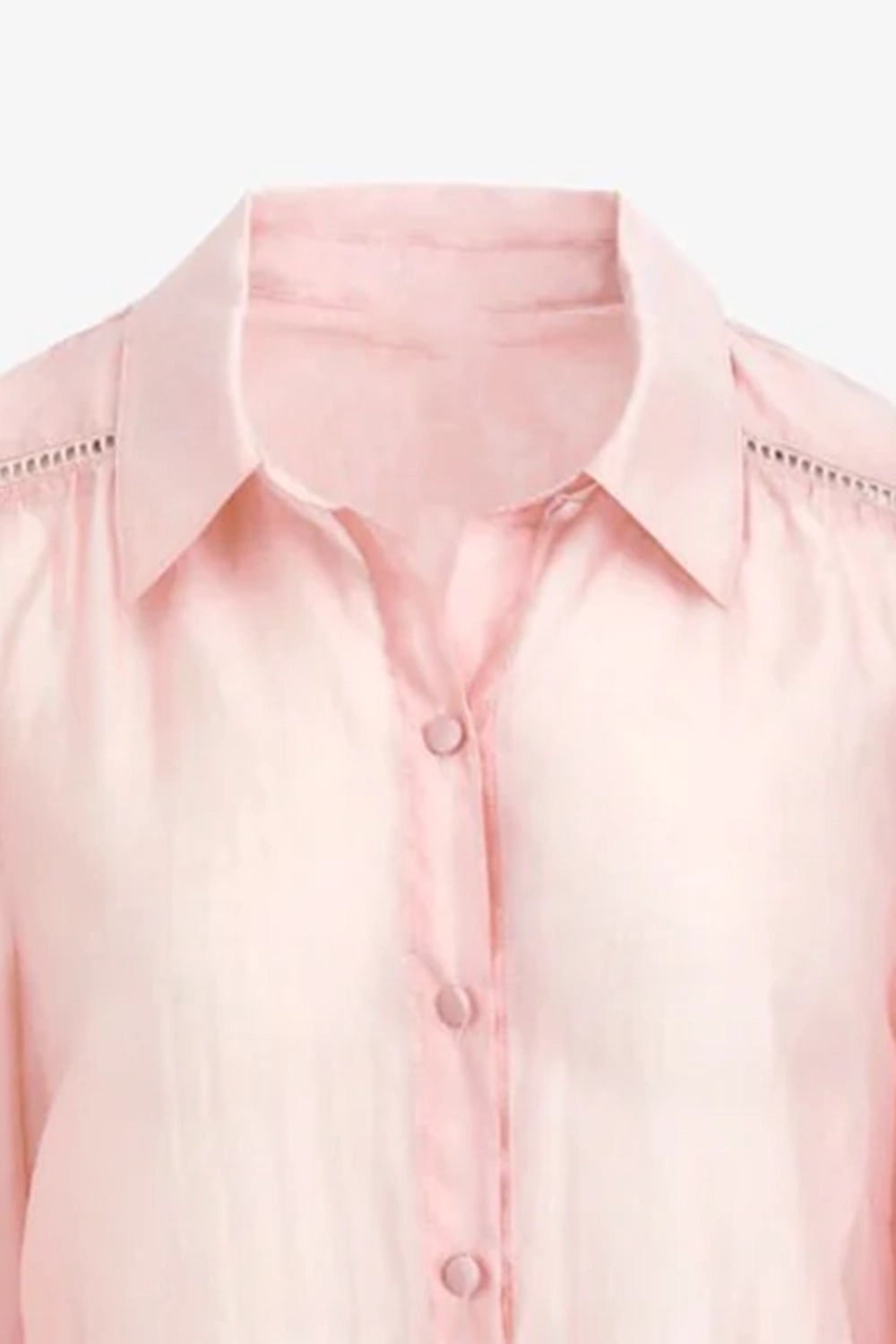 Blush Lace Detail Sheer Shirt