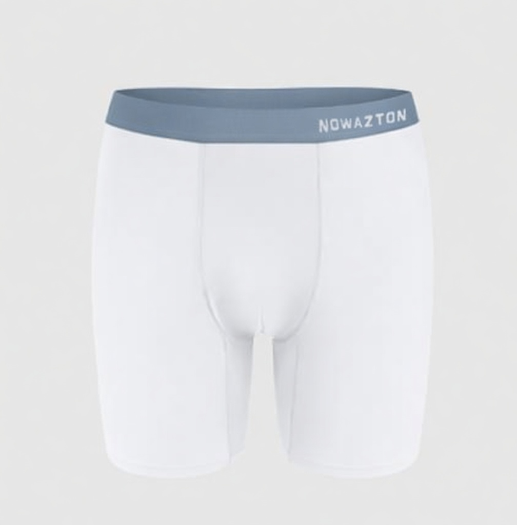 High-end Antibacterial Maintenance Pants for Men – New Ice Silk Boxer Briefs/Boxers – Thin Summer Shorts for Men