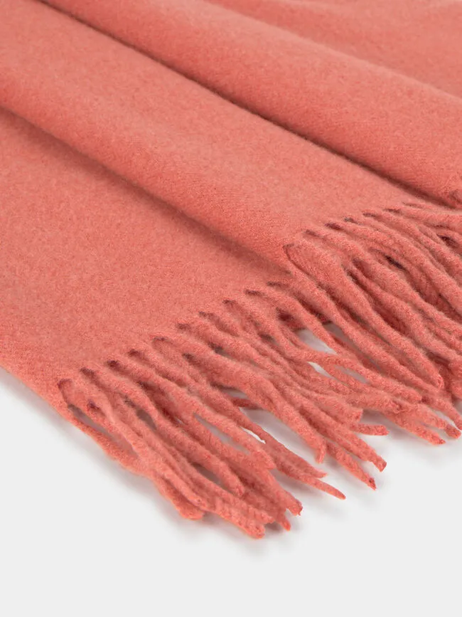 Solid Basic Tassel Scarf