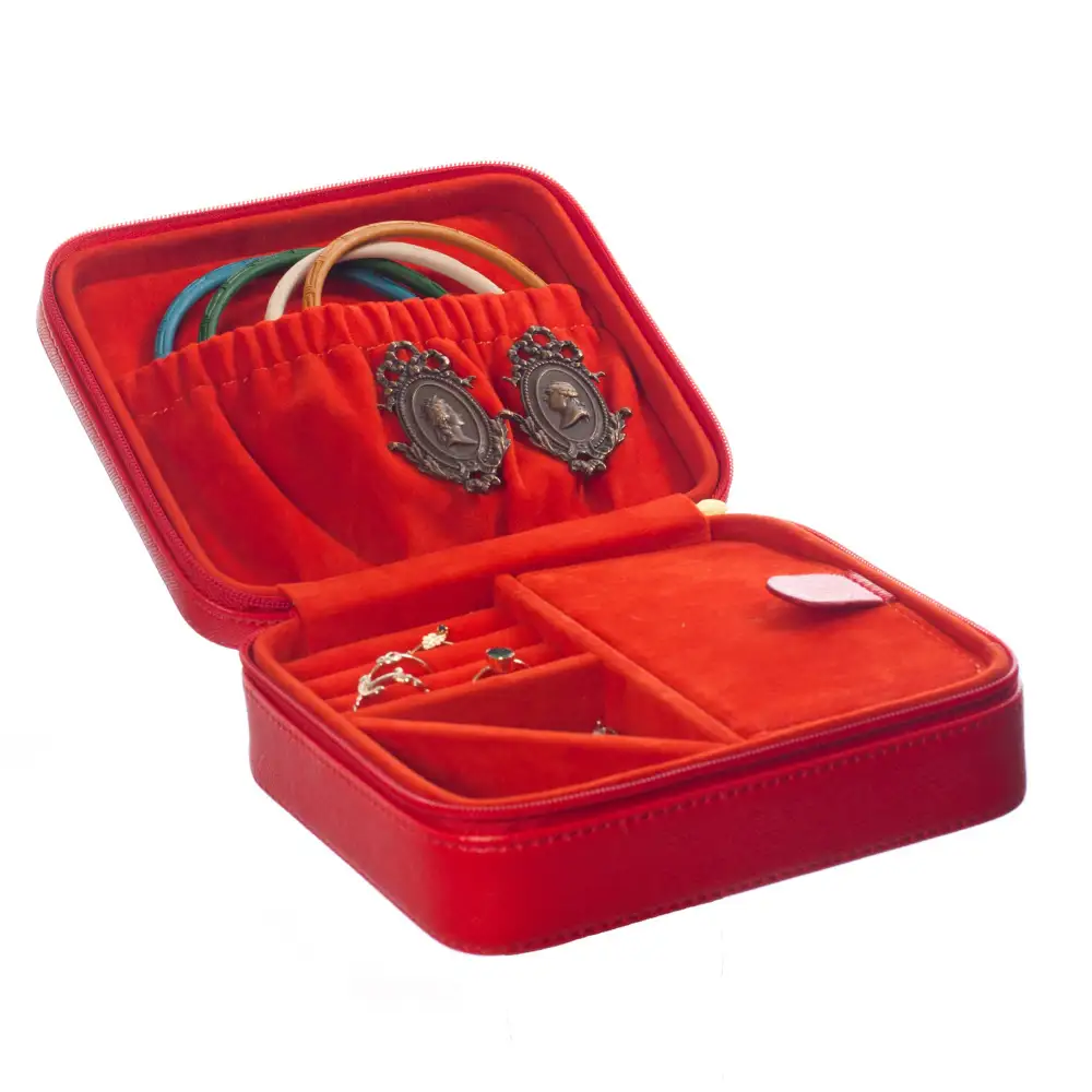 Portable Multipurpose Storage Organizer Case