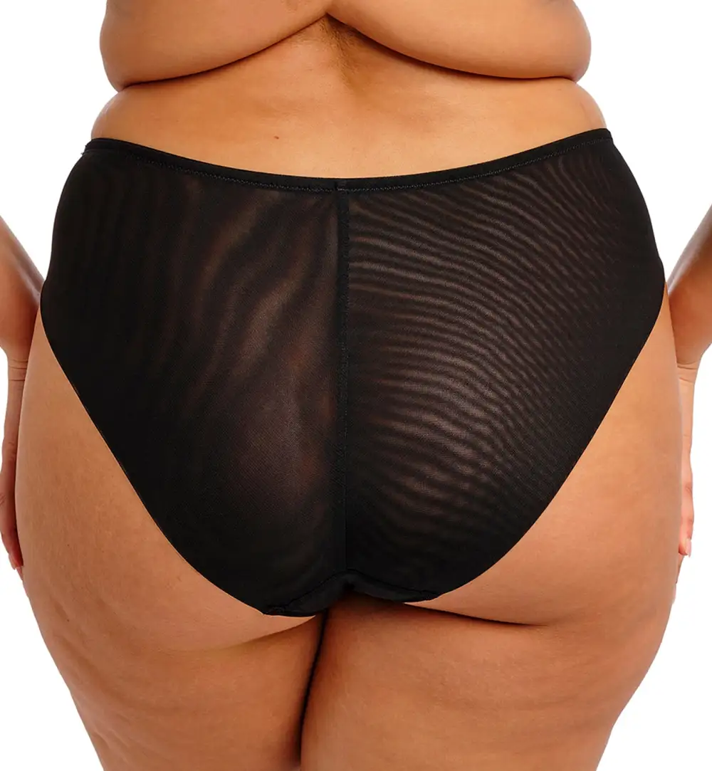 Classic High-Waist Mesh Embroidered Full-Coverage Brief Panty