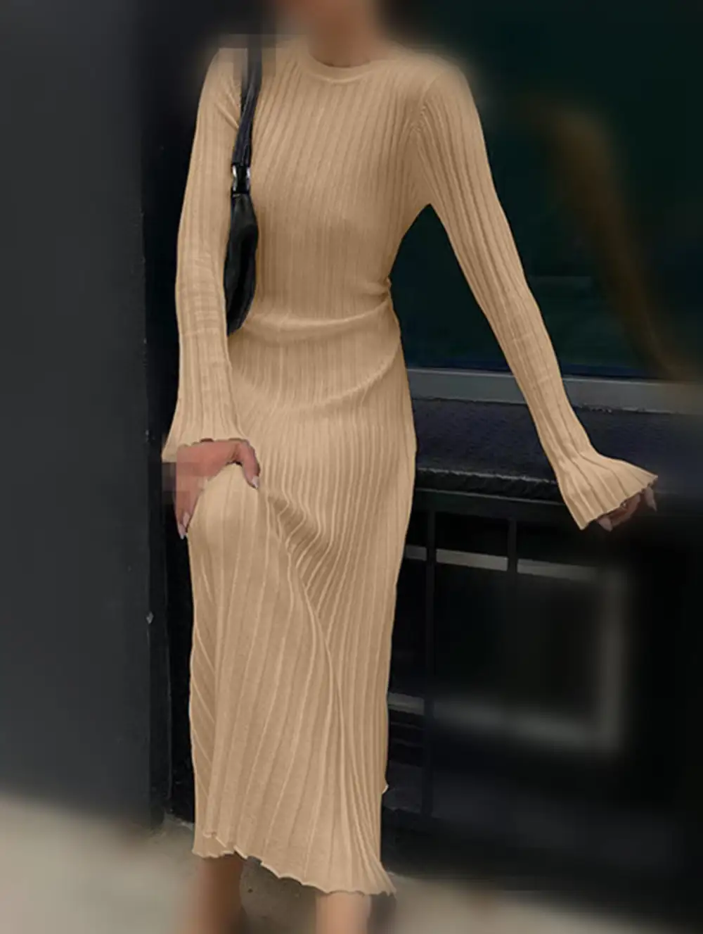 Fitted Waist Ribbed Knit Dress